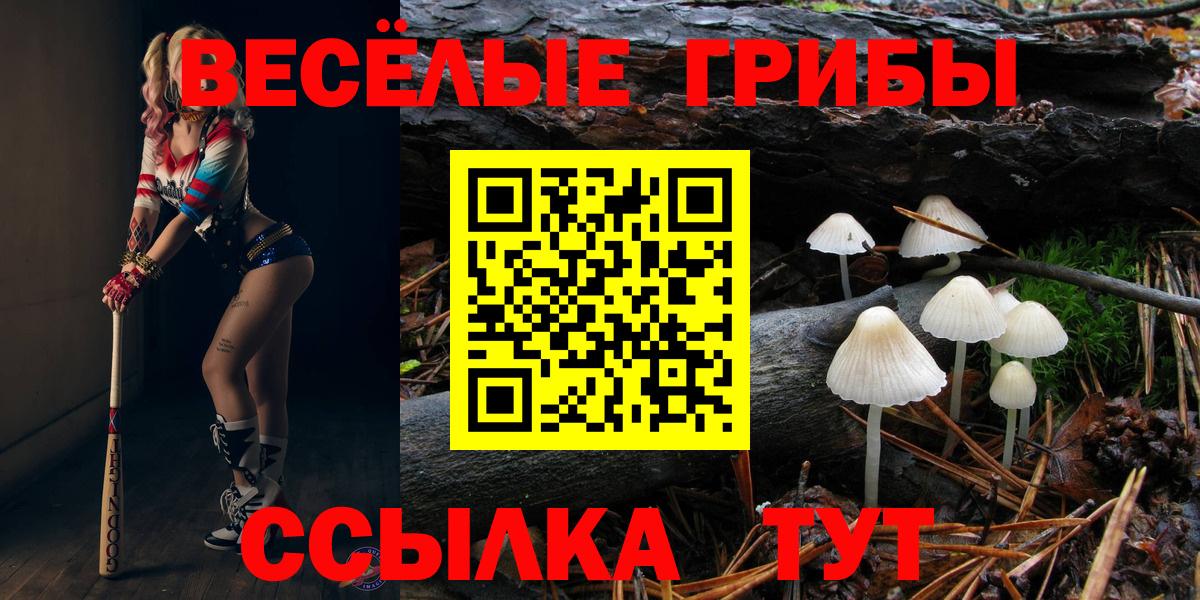 Галлюциногенные грибы прущие грибы Чебоксары