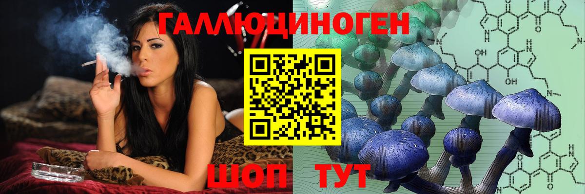 Псилоцибиновые грибы мухоморы  Вход с VPN  наркотики  Чебоксары 